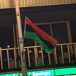 Meet your Posher, Tazz